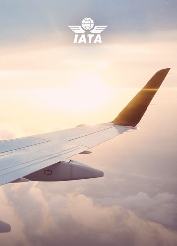 Case IATA 2 - TMP - Build an agile architecture – IT Solutions Architecture