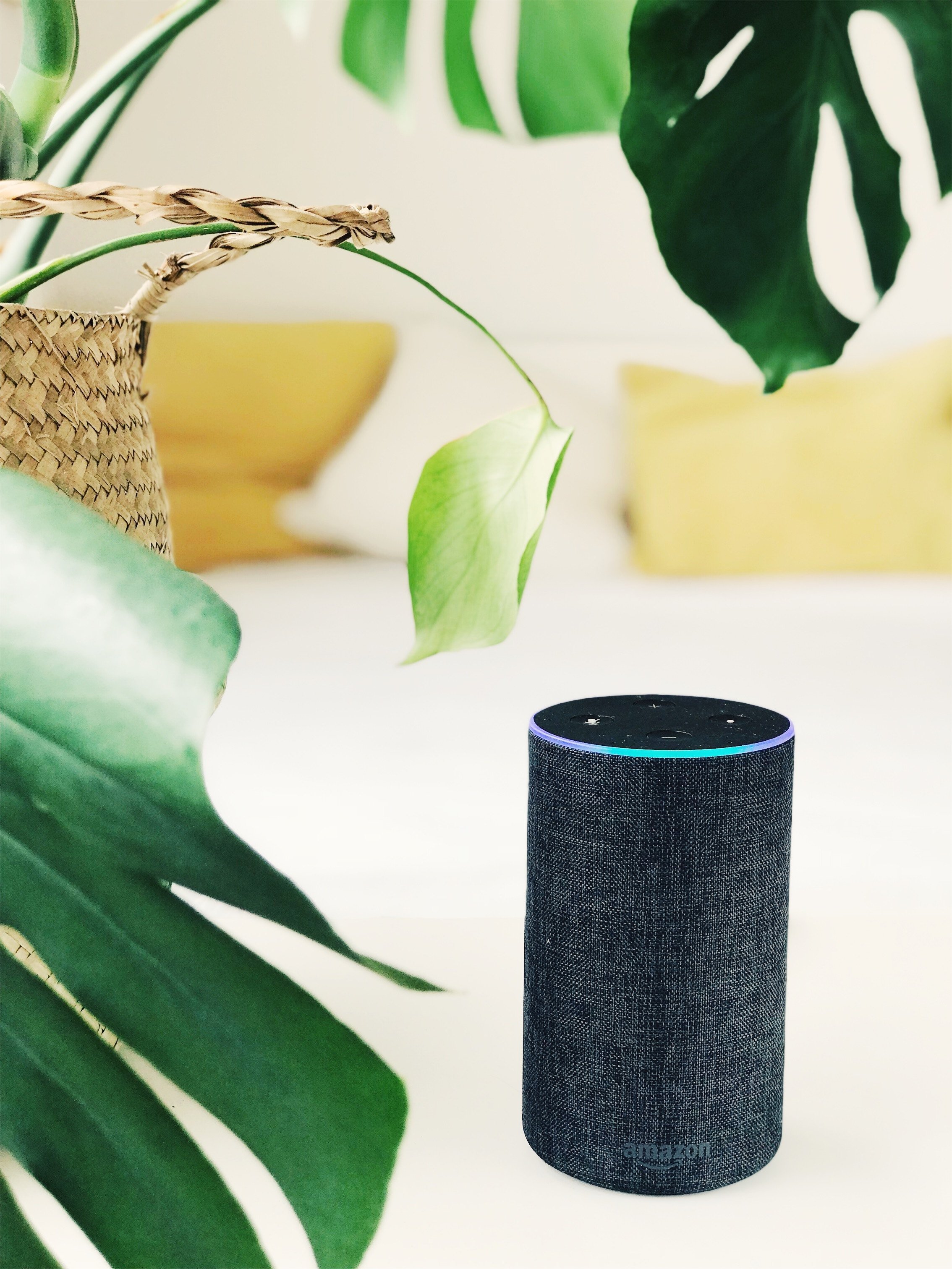 Amazon Echo - Udnytter du fordelene ved Voice i din virksomhed?
